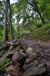 山路