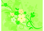 花纹