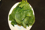 菠菜 火锅
