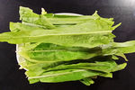 油菜