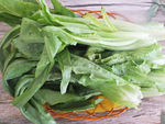 香麦 油麦菜
