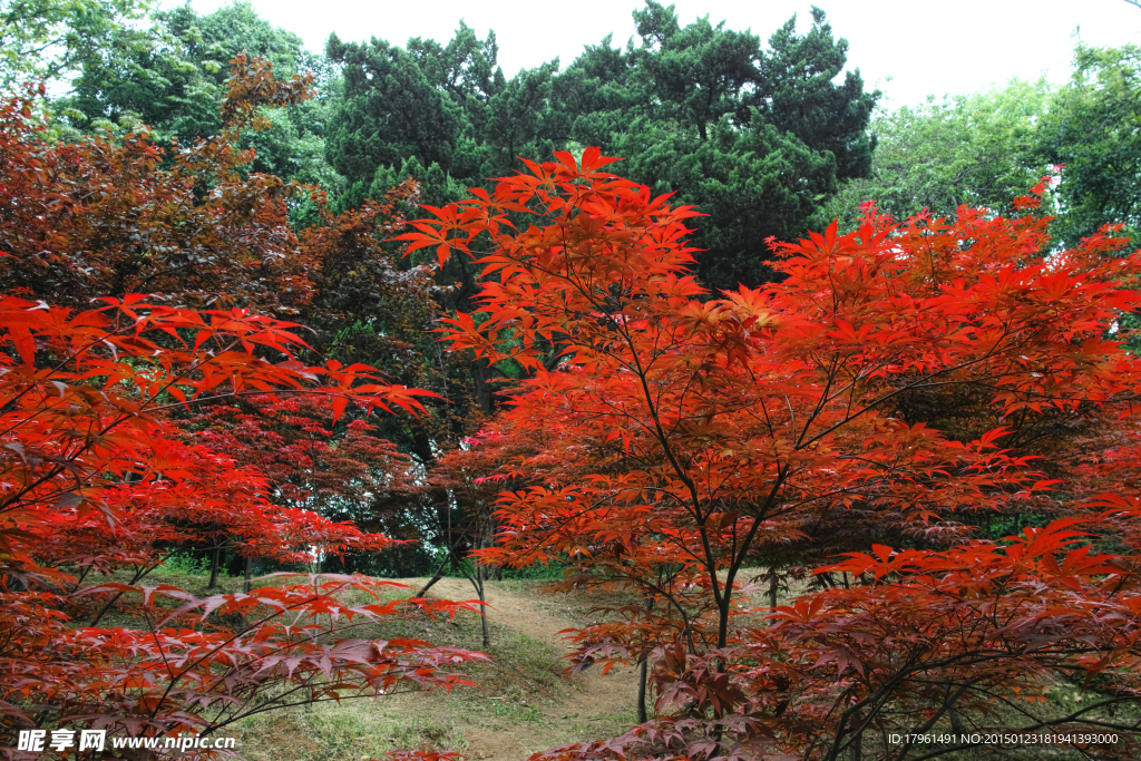 东湖公园