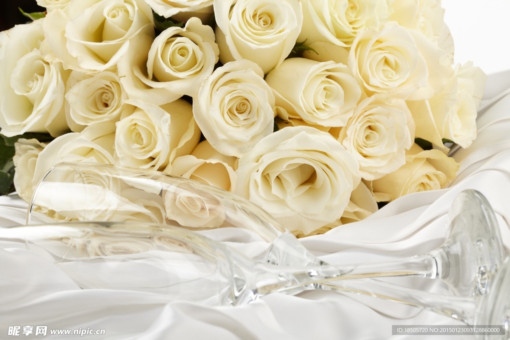 新鲜的白玫瑰