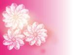 矢量透明花背景墙