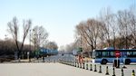 太阳岛风光