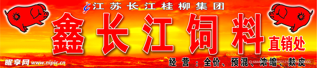 饲料