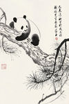 熊猫