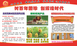 国珍