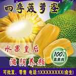 菠萝蜜