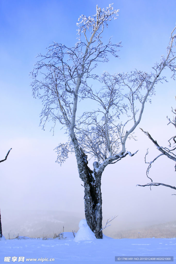 二郎河雪景