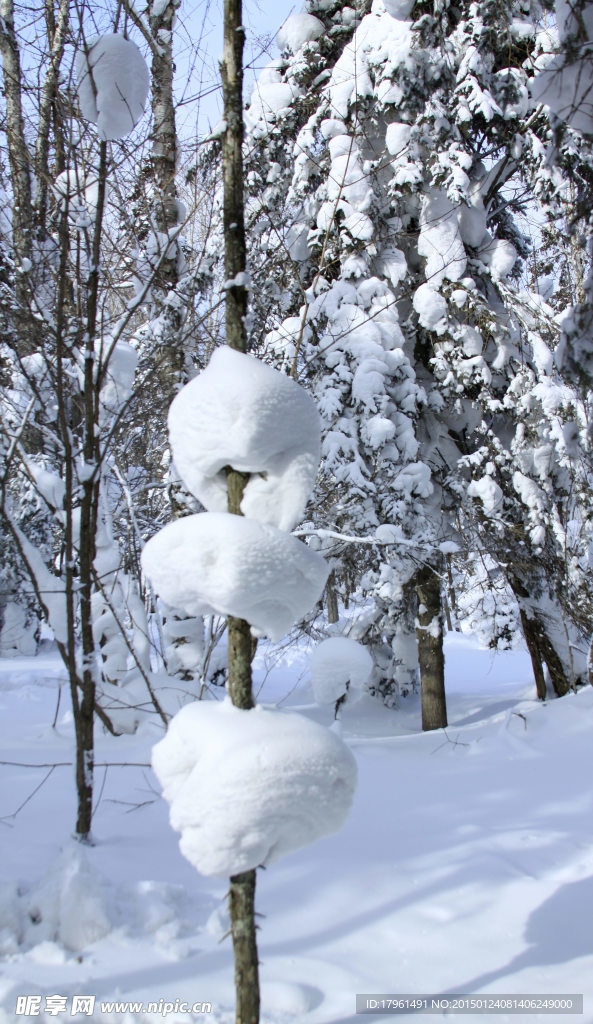 二郎河雪景