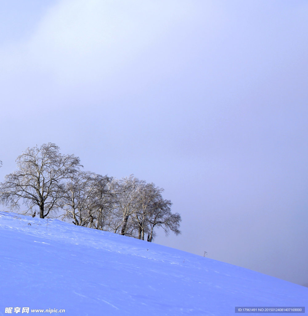 二郎河雪景