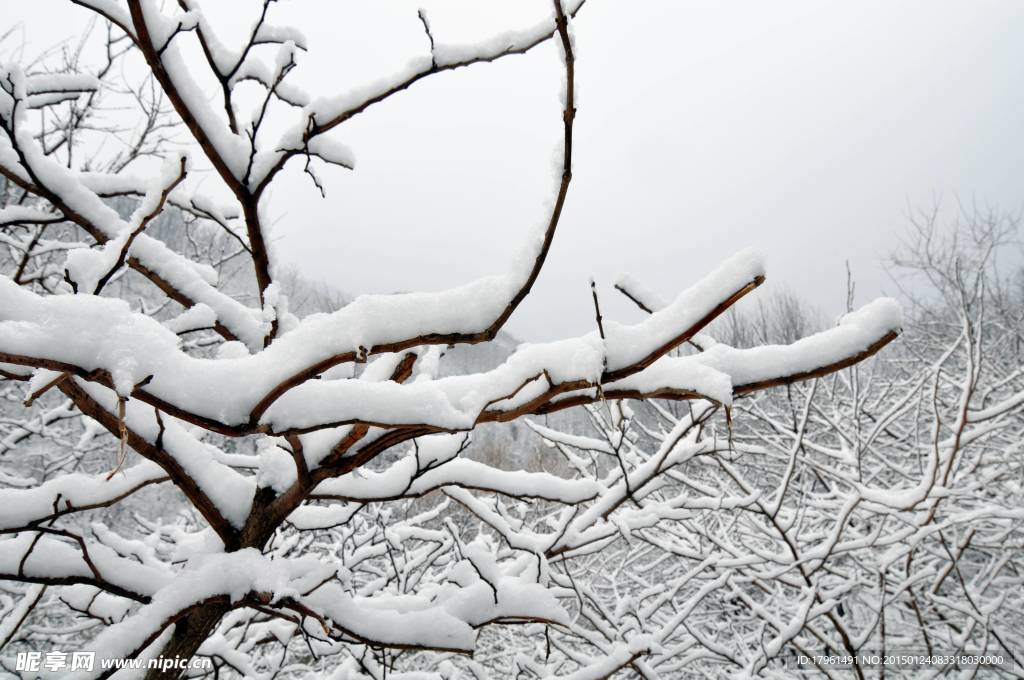 林州雪景