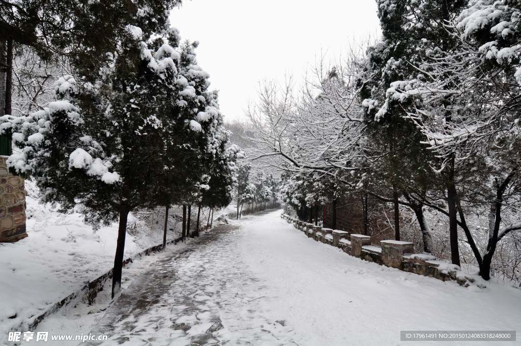 林州雪景