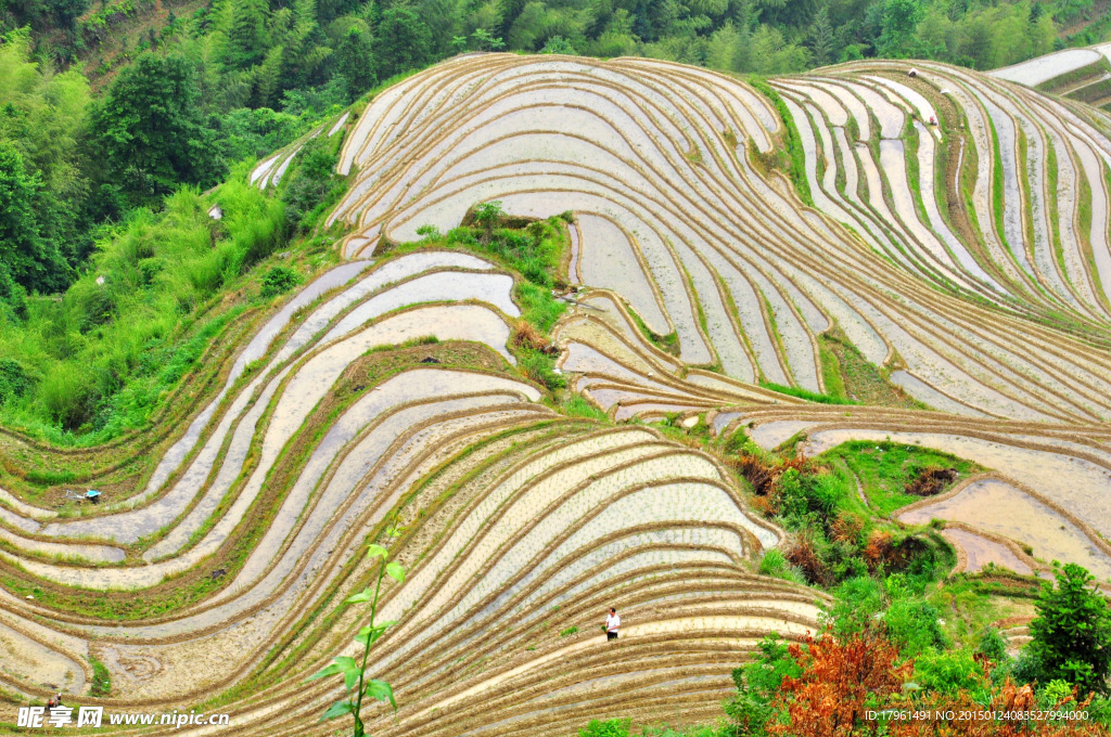 龙脊梯田