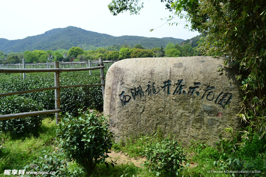 龙井村