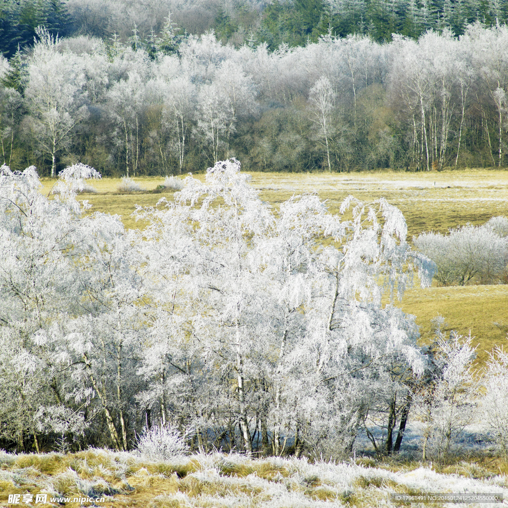 奥林匹克公园雪景