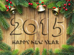 2015年
