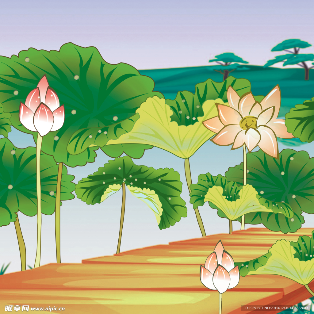 荷花风景