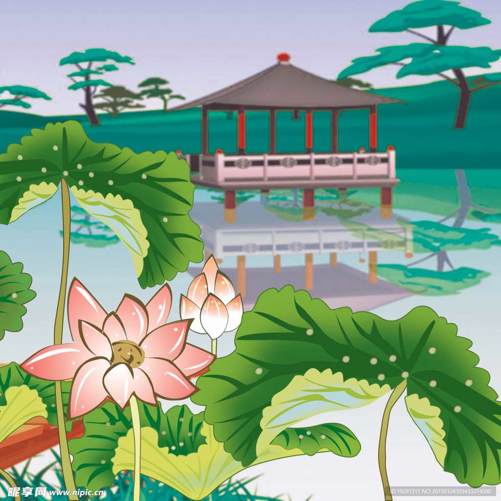 荷塘风景