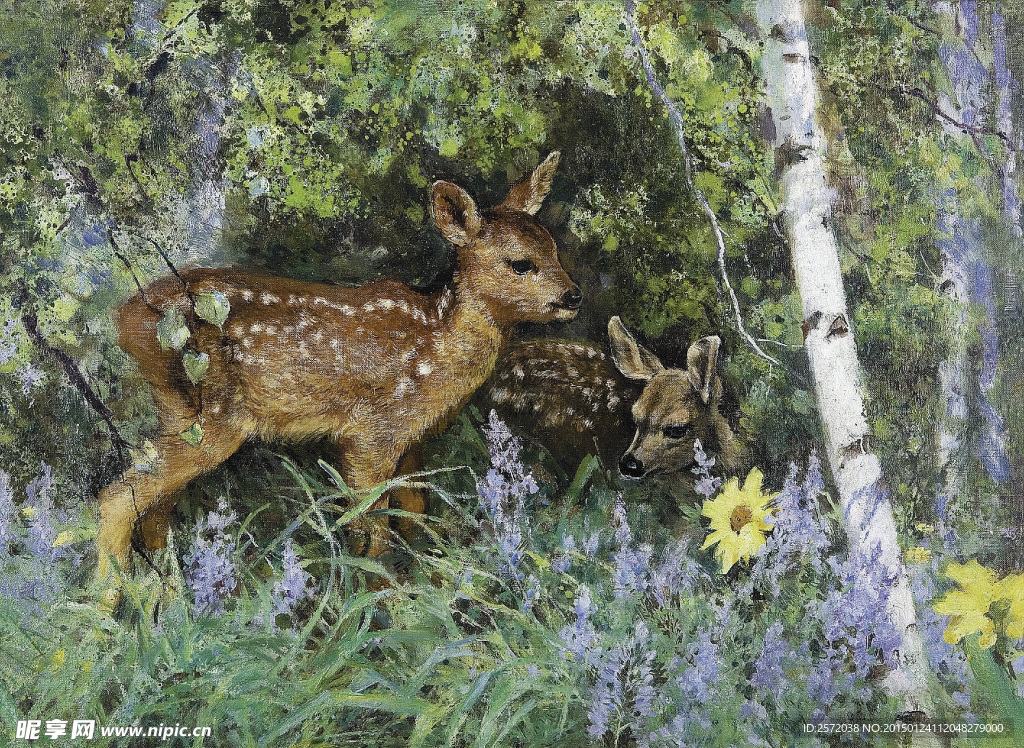 林中双鹿
