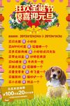 宠物店海报