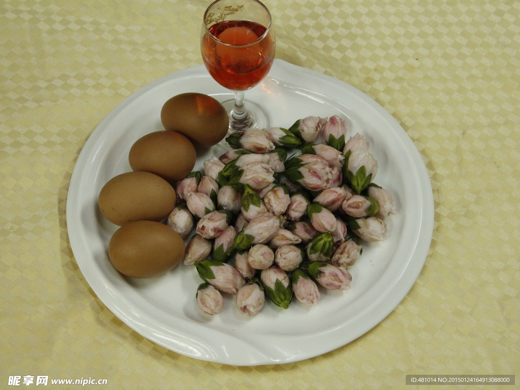 鸡蛋茶花