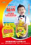 盈成菜籽油海报