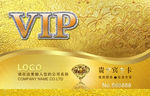 VIP贵宾卡 VIP金卡