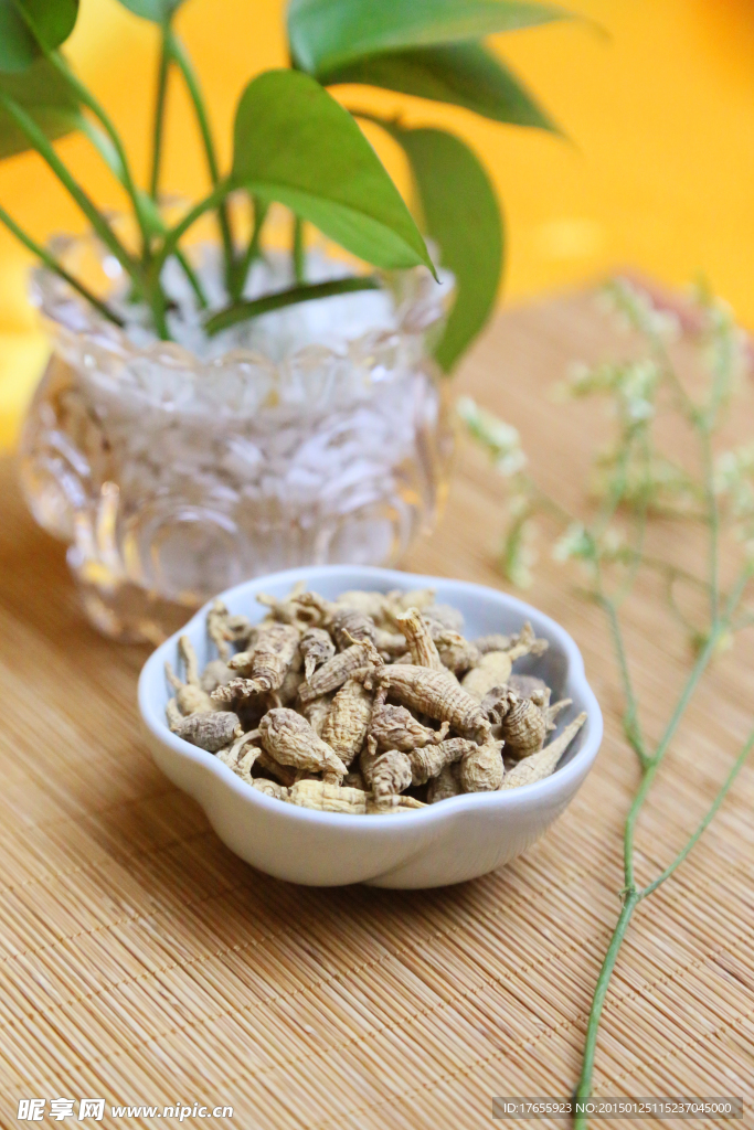 野山花旗参