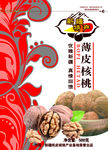 新疆薄皮核桃