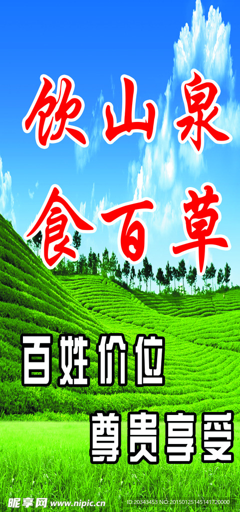 饮山泉