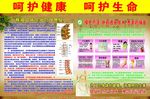 绿色疗法 椎间盘