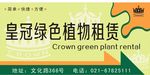 皇冠绿色植物租赁
