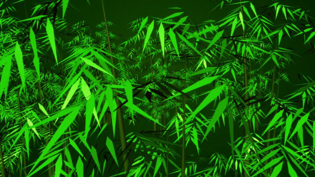 动态三维竹子竹林背景素材