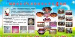 教师简介