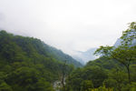山林