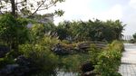 小区景观