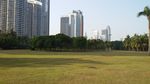 高楼景观