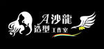 A沙龙