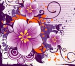 花框