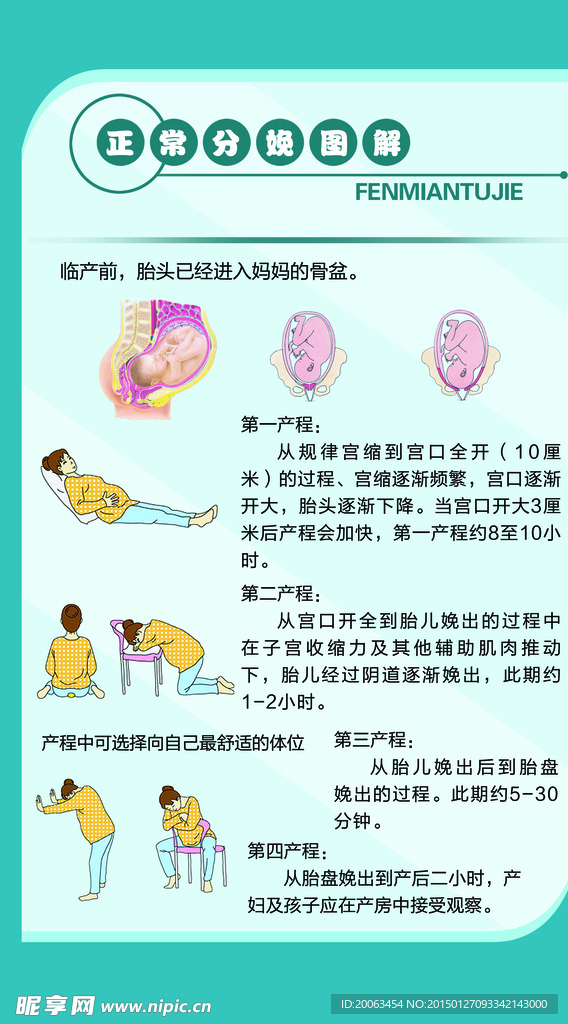 正常分娩图解