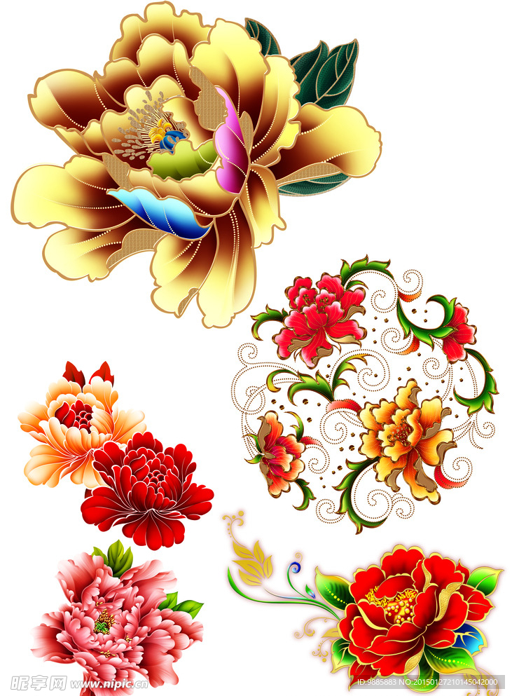 牡丹花