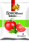 番茄包装