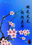 桃花 唯美插画封面