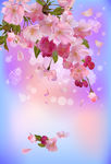 樱花梦幻背景