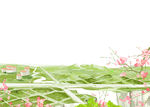 桃花春天