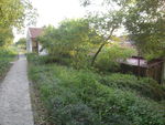 绿色风景