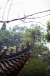 重庆华岩寺