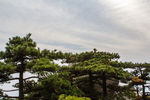天柱山世界地质公园